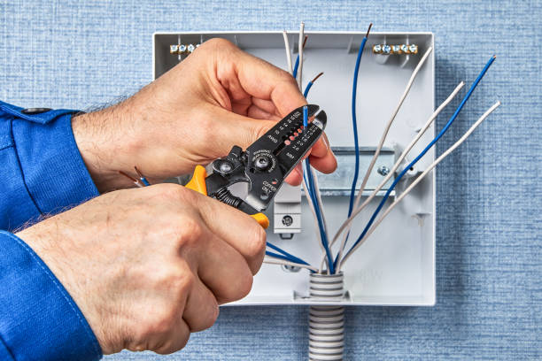 Best Electrical Maintenance Services  in Dandridge, TN